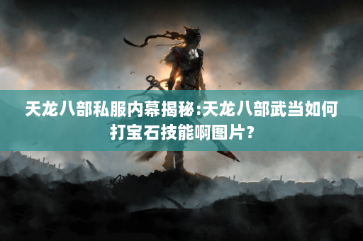 天龙八部私服内幕揭秘:天龙八部武当如何打宝石技能啊图片？