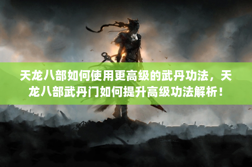 天龙八部如何使用更高级的武丹功法，天龙八部武丹门如何提升高级功法解析！