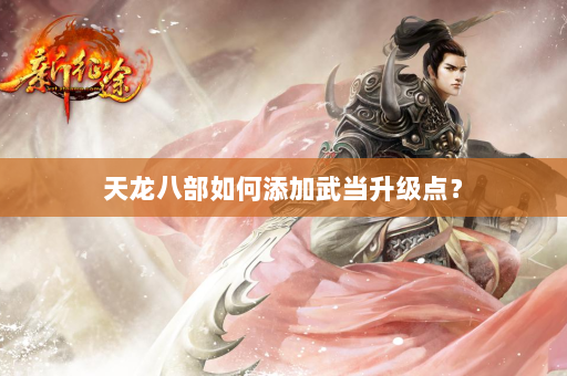 天龙八部如何添加武当升级点？  第4张