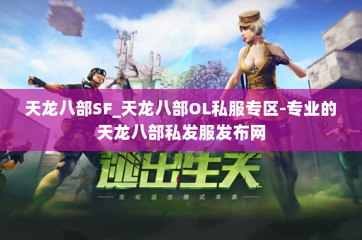 天龙八部SF_天龙八部OL私服专区-专业的天龙八部私发服发布网 第3张