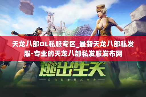 天龙八部OL私服专区_最新天龙八部私发服-专业的天龙八部私发服发布网 第3张