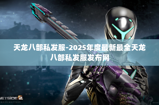 天龙八部私发服-2025年度最新最全天龙八部私发服发布网 第2张