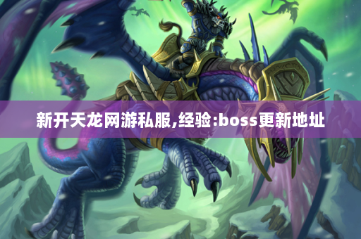 新开天龙网游私服,经验:boss更新地址  第4张