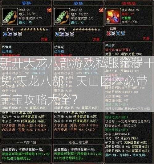 新开天龙八部游戏私服全程干货:天龙八部：天山团本必带宝宝攻略大全？