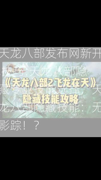 天龙八部发布网新开,技巧:天龙八部隐藏专业技能选择，天龙八部隐藏技能：无影踪！？  第2张