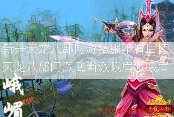 新开天龙八部网游私服不看后悔:天龙八部门派武当派峨眉派峨眉