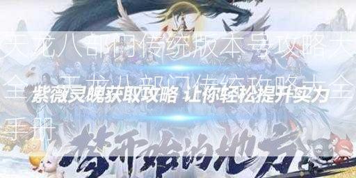 天龙八部门传统版本号攻略大全，天龙八部门传统攻略大全手册  第2张