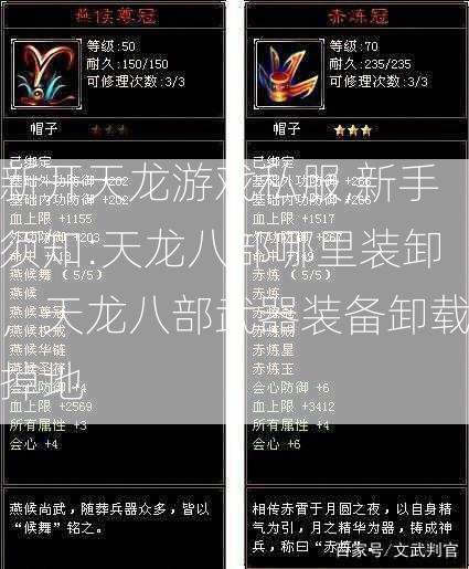 新开天龙游戏私服,新手须知:天龙八部哪里装卸，天龙八部武器装备卸载掉地