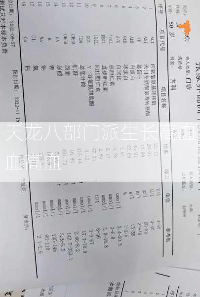 天龙八部门派生长高血血高血  第2张