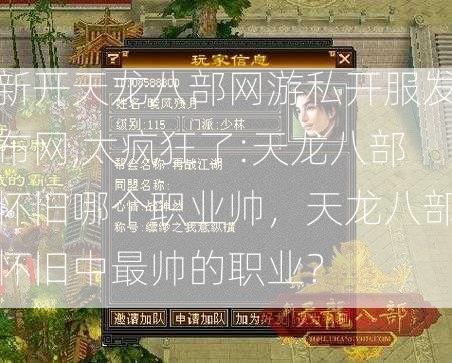 新开天龙八部网游私开服发布网,太疯狂了:天龙八部怀旧哪个职业帅，天龙八部怀旧中最帅的职业？  第1张