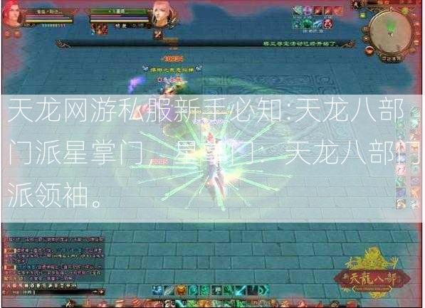 天龙网游私服新手必知:天龙八部门派星掌门，星掌门：天龙八部门派领袖。  第2张