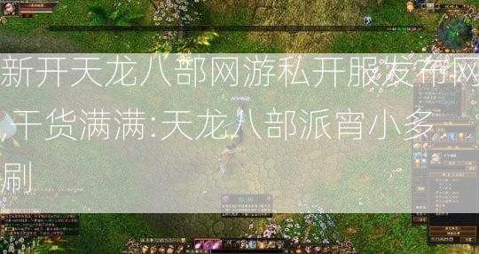 新开天龙八部网游私开服发布网,干货满满:天龙八部派宵小多刷