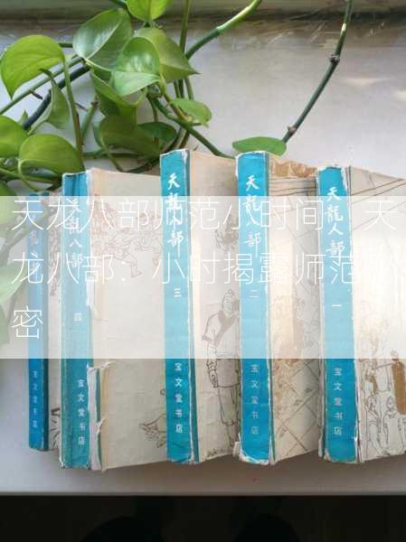 天龙八部师范小时间，天龙八部：小时揭露师范秘密  第2张