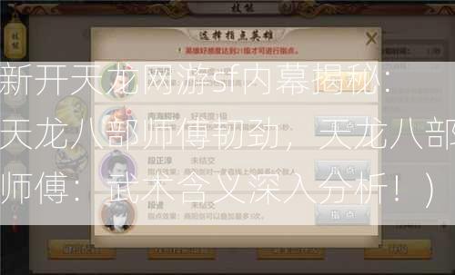 新开天龙网游sf内幕揭秘:天龙八部师傅韧劲，天龙八部师傅：武术含义深入分析！)  第2张