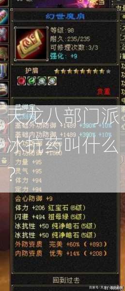 天龙八部门派冰抗药叫什么？