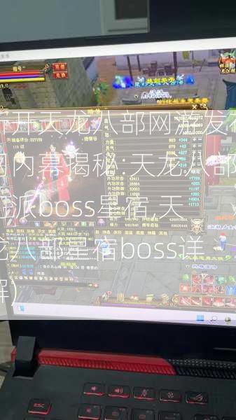 新开天龙八部网游发布网内幕揭秘:天龙八部门派boss星宿,天龙八部星宿boss详解)  第1张