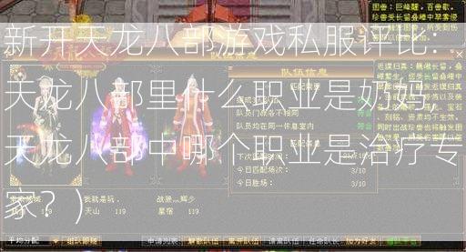 新开天龙八部游戏私服评比:天龙八部里什么职业是奶妈,天龙八部中哪个职业是治疗专家？)  第2张