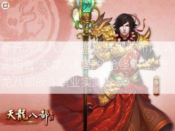 新开天龙八部网游私开服发布网,奔走相告:天龙八部野外抢怪职业,天龙八部战斗职业实测分享  第1张