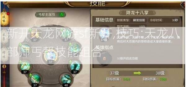 新开天龙网游sf新开,技巧:天龙八部师丐帮技能组合  第2张