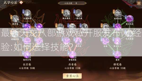 最新天龙八部游戏私开服发布网,经验:如何选择技能？ 第2张