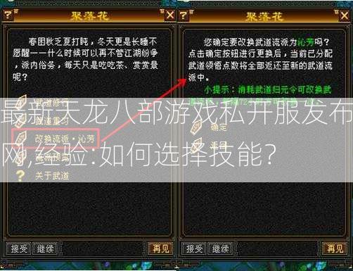 最新天龙八部游戏私开服发布网,经验:如何选择技能？