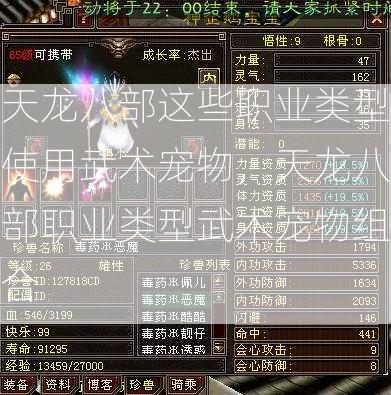 天龙八部这些职业类型使用武术宠物，天龙八部职业类型武术宠物组合 第1张