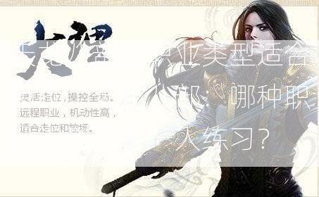 天龙八部的职业类型适合单打，天龙八部：哪种职业类型适合一人练习？ 第2张