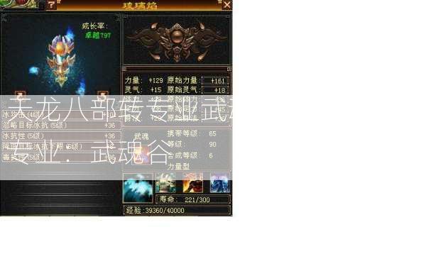 天龙八部转专业武魂，天龙八部转专业：武魂谷 第2张
