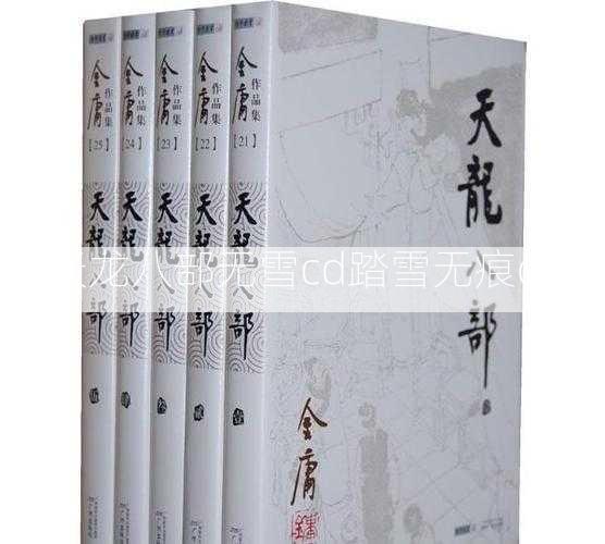 天龙八部无雪cd踏雪无痕cd 第2张
