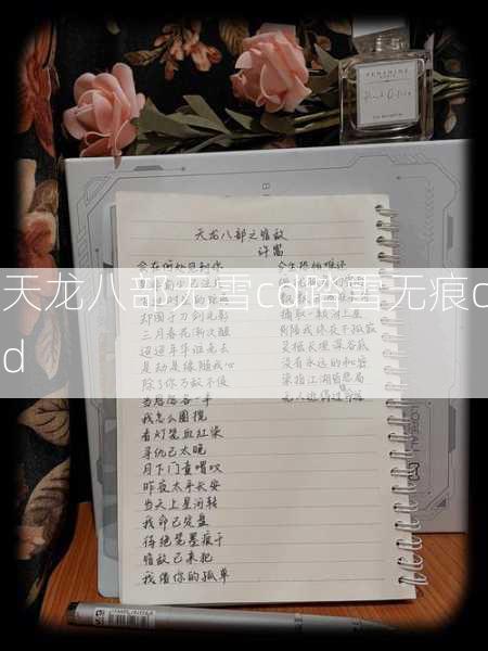天龙八部无雪cd踏雪无痕cd 第1张