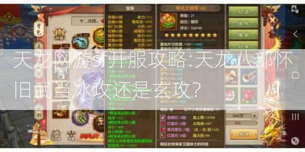 天龙网游sf开服攻略:天龙八部怀旧武当冰攻还是玄攻？  第1张