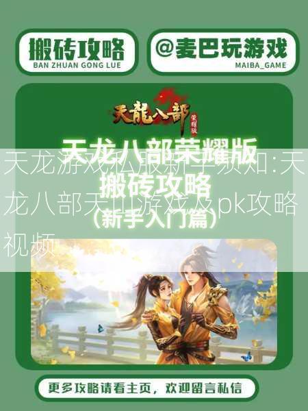 天龙游戏私服新手须知:天龙八部天山游戏及pk攻略视频  第2张