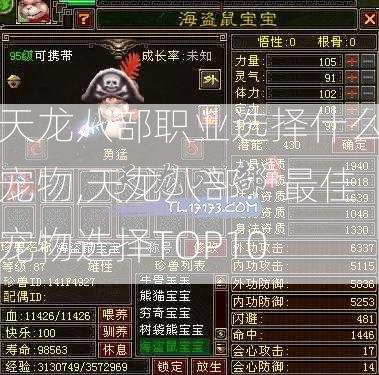 天龙八部职业选择什么宠物,天龙八部：最佳宠物选择TOP10