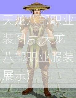 天龙八部职业装图片,天龙八部职业服装展示)  第2张