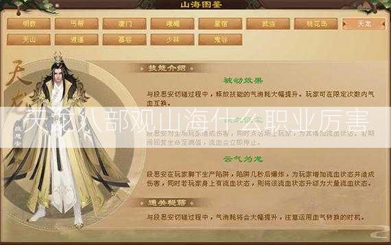 天龙八部观山海什么职业厉害
