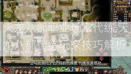 天龙八部职业玩家代练,天龙八部代练玩家技巧解析  第2张