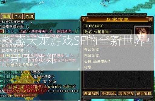 探索天龙游戏SF的全新世界——新手须知  第2张