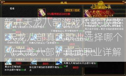 新开天龙八部游戏私服,攻略:天龙八部真武职业选择哪个,《天龙八部》真武职业详解 第1张