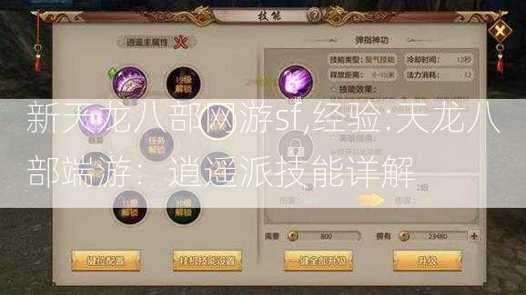 新天龙八部网游sf,经验:天龙八部端游：逍遥派技能详解 第1张