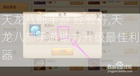 天龙八部手游 经验丹,天龙八部手游助力升级最佳利器