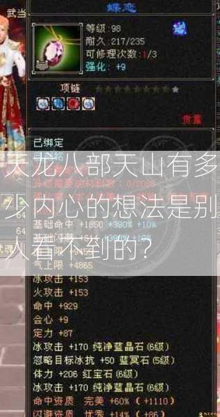 天龙八部天山有多少内心的想法是别人看不到的？