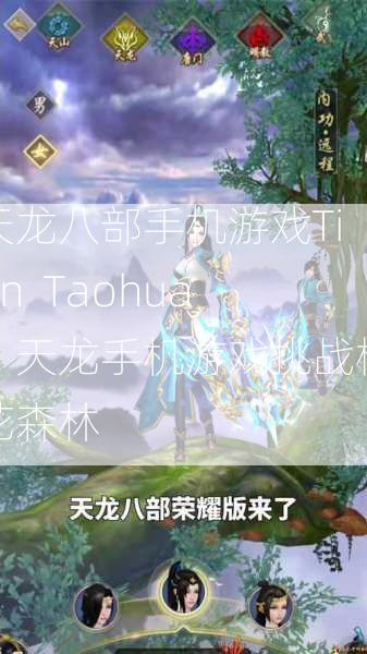 天龙八部手机游戏Tian  Taohua，天龙手机游戏挑战桃花森林 第1张