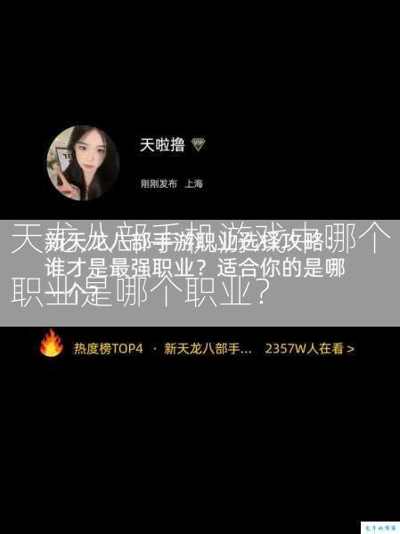 天龙八部手机游戏中哪个职业是哪个职业？  第1张