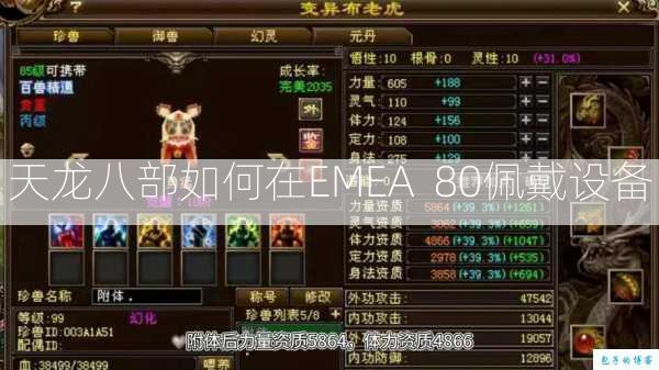 天龙八部如何在EMEA 80佩戴设备 第1张