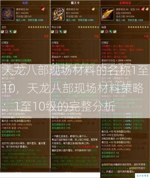 天龙八部现场材料的名称1至10，天龙八部现场材料策略：1至10级的完整分析 第1张