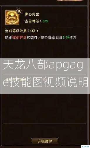 天龙八部apgage技能图视频说明