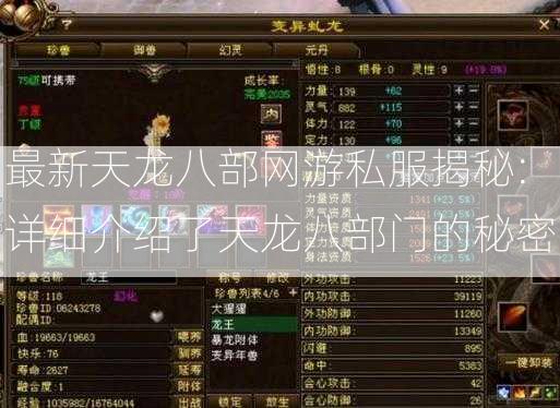 最新天龙八部网游私服揭秘:详细介绍了天龙八部门的秘密 