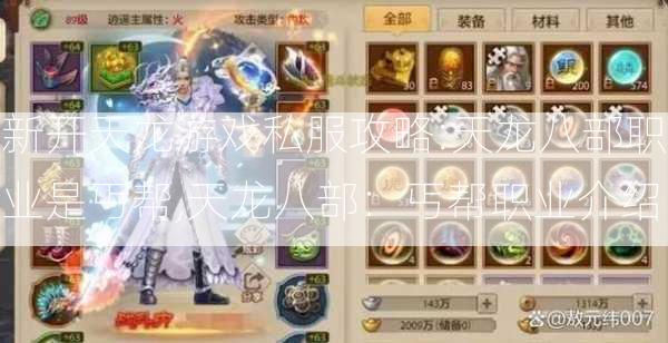 新开天龙游戏私服攻略:天龙八部职业是丐帮,天龙八部：丐帮职业介绍 