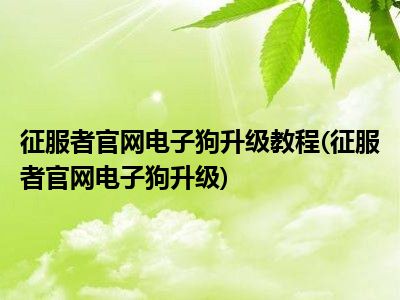 征服者电子狗各款产品评测：X系列与G系列的优缺点对比