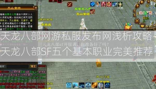 天龙八部网游私服发布网浅析攻略-天龙八部SF五个基本职业完美推荐  第3张